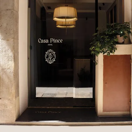 Casa Pince-3