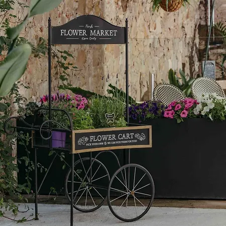 La Franca Hotel Boutique (Adults Only)-3