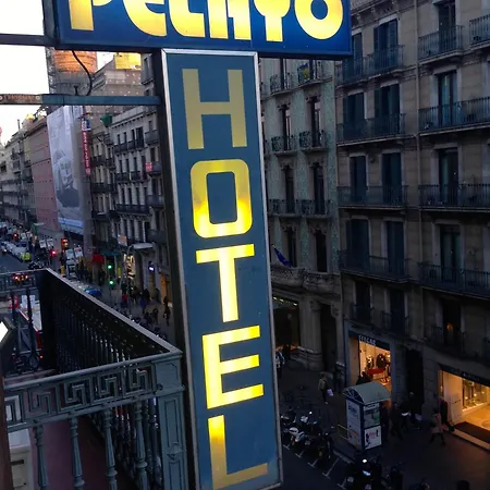 Hotel Pelayo-2